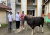 Kurban Bukan Sekadar Pengorbanan, Tapi Perekat Silaturahmi Umat